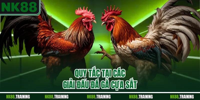 Quy tắc tại các giải đấu đá gà cựa sắt